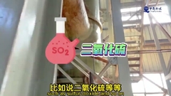 60%-80% de humidade Incineração de lodo de esgoto de dois parafusos com sistema automatizado avançado